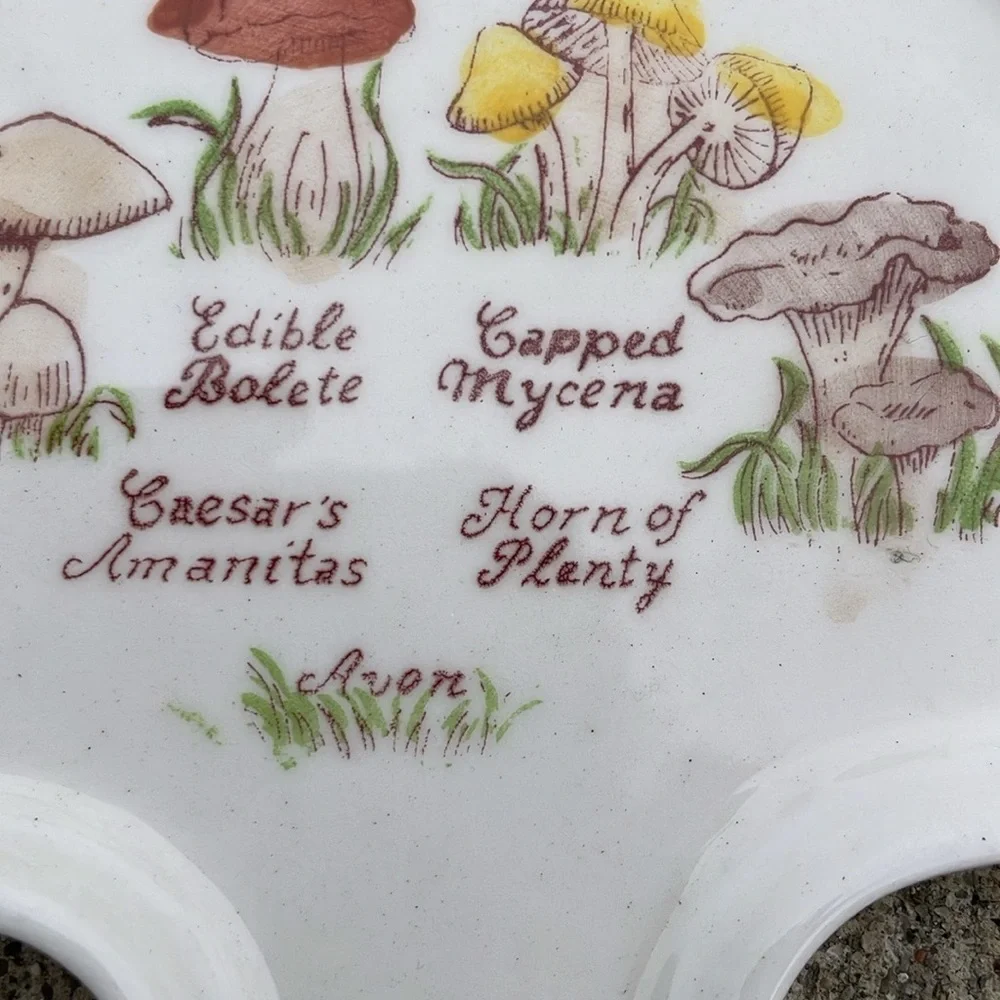 Vintage 1980 Avon Mushroom Spoon Rest Ceramic Wall Hanging Hand Painted Brazil